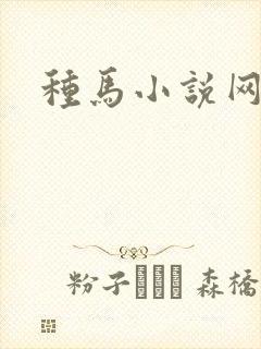 种马小说网