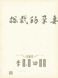 总裁的孕妻封面