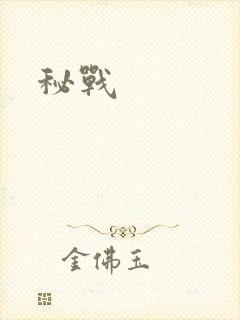 秘战