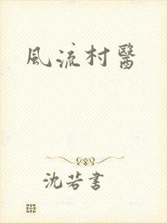 风流村医封面