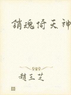 销魂倚天神雕封面