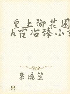 皇上御花园hlh霍冶臻小说