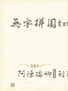 无字拼图txt封面