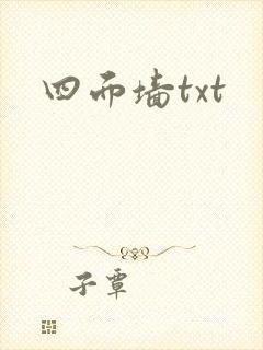 四面墙txt