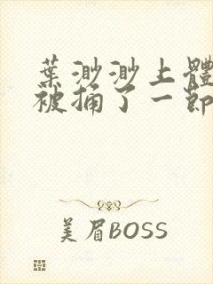 叶渺渺上体育课被捅了一节课封面