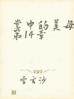 掌中的美母版主第14章