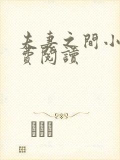 夫妻之间小说免费阅读