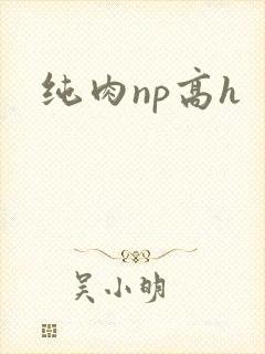 纯肉np高h