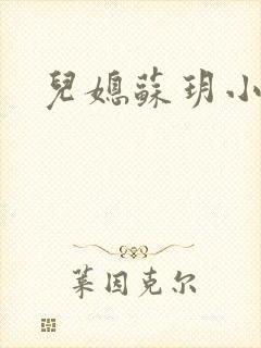 儿媳苏玥小说封面