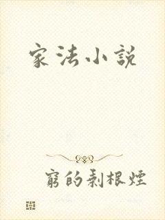 家法小说
