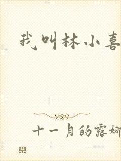 我叫林小喜17封面