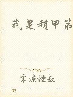 我是赵甲第小说