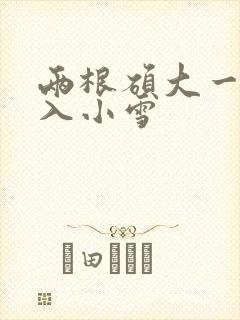 两根硕大一起挤入小雪