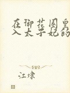 在御花园皇上进入太子妃的小说封面