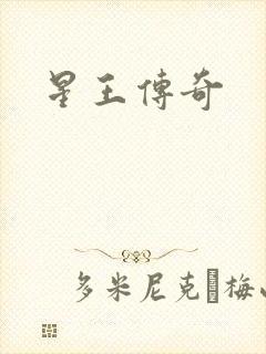 星王传奇