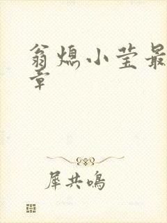 翁熄小莹最新节章