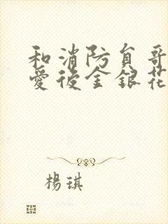 和消防员哥哥恋爱后金银花趣笔阁封面