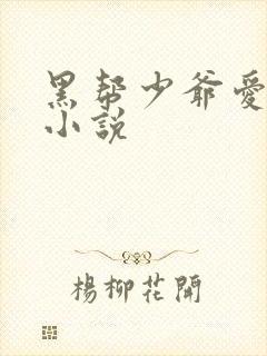 黑帮少爷爱上我小说