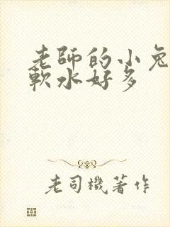 老师的小兔子好软水好多封面