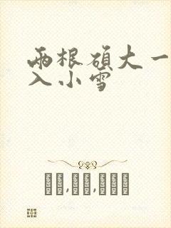 两根硕大一起挤入小雪