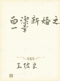 白洁新婚之夜第一章