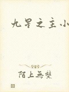 九星之主小说