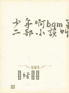 少年啊bgm第二部小说叫什么封面