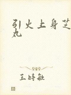 引火上身芝麻糖丸