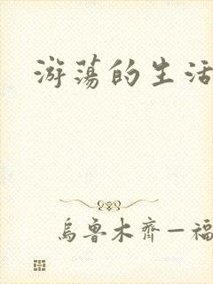 游荡的生活日记封面