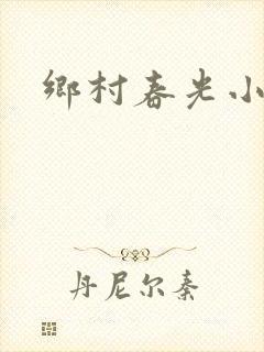 乡村春光小说封面