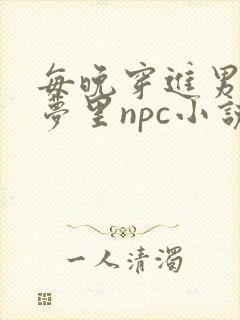 每晚穿进男神的梦里npc小说封面