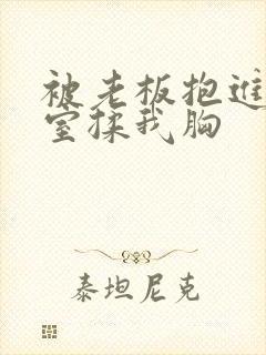 被老板抱进办公室揉我胸