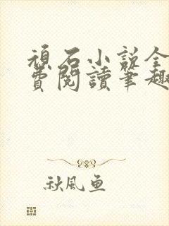 顽石小说全文免费阅读笔趣阁