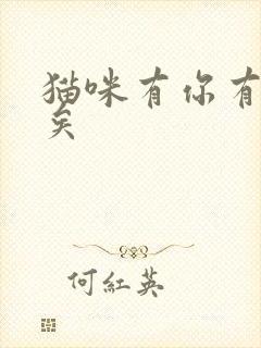 猫咪有你有我足矣封面