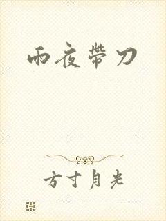 雨夜带刀封面