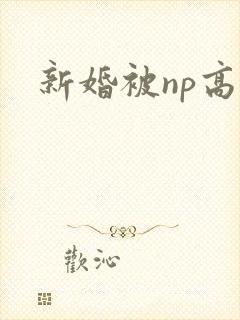 新婚被np高h