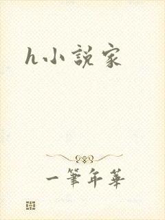 h小说家
