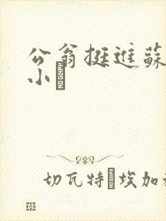 公翁挺进苏玥的小泬