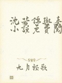 沈若锦与秦琅的小说免费阅读