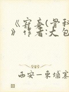 《宠妾(骨科)》作者:大包子