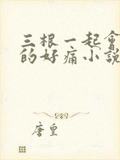 三根一起会坏掉的好痛小说