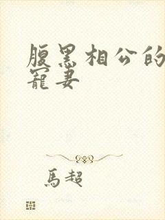 腹黑相公的庶女宠妻