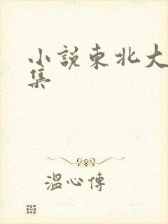 小说东北大炕全集