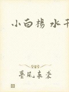 小白杨 水千丞