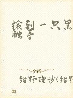 捡到一只黑心小触手