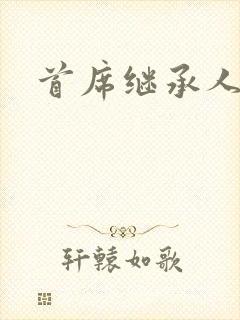 首席继承人封面