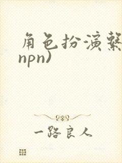 角色扮演系统(npn)封面