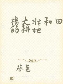 杨大壮和田桂花的耕地