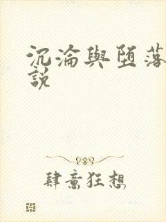 沉沦与堕落的小说