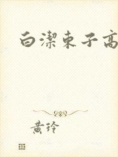白洁东子高义封面